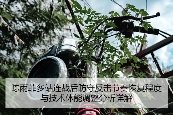 陈雨菲多站连战后防守反击节奏恢复程度与技术体能调整分析详解