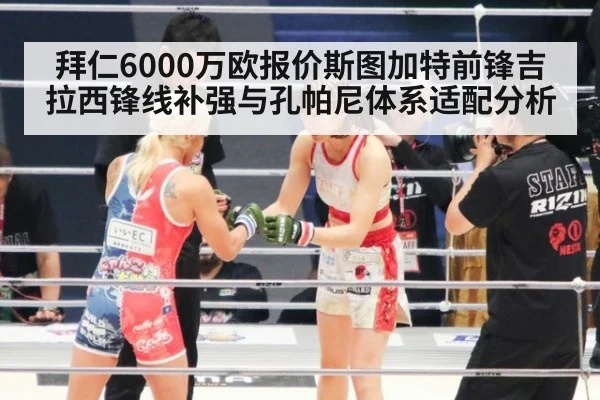拜仁6000万欧报价斯图加特前锋吉拉西锋线补强与孔帕尼体系适配分析